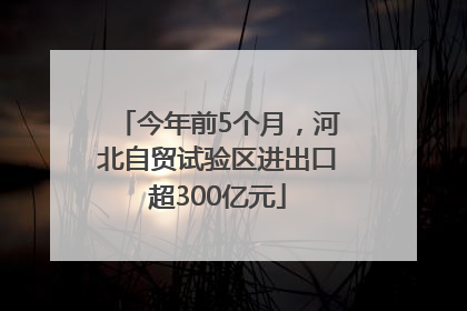 今年前5个月，河北自贸试验区进出口超300亿元