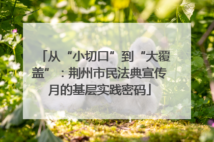 从“小切口”到“大覆盖”：荆州市民法典宣传月的基层实践密码