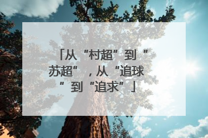 从“村超”到“苏超”，从“追球”到“追求”
