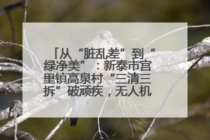 从“脏乱差”到“绿净美”：新泰市宫里镇高泉村“三清三拆”破顽疾，无人机“天眼”护新颜