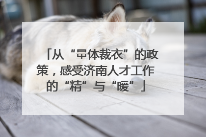 从“量体裁衣”的政策，感受济南人才工作的“精”与“暖”
