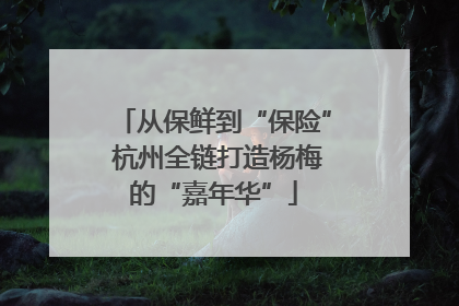 从保鲜到“保险” 杭州全链打造杨梅的“嘉年华”