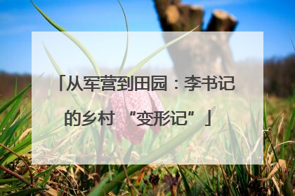 从军营到田园：李书记的乡村 “变形记”