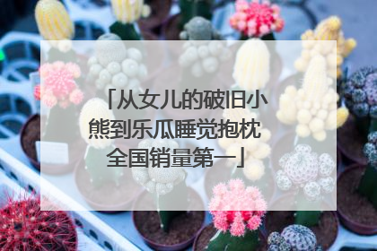 从女儿的破旧小熊到乐瓜睡觉抱枕全国销量第一