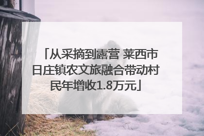 从采摘到露营 莱西市日庄镇农文旅融合带动村民年增收1.8万元