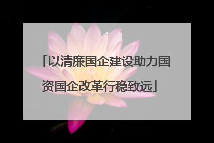 以清廉国企建设助力国资国企改革行稳致远
