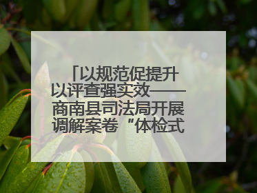 以规范促提升 以评查强实效——商南县司法局开展调解案卷“体检式”评查行动