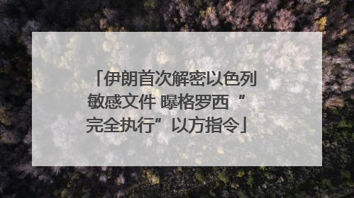 伊朗首次解密以色列敏感文件 曝格罗西“完全执行”以方指令