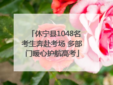 休宁县1048名考生奔赴考场 多部门暖心护航高考
