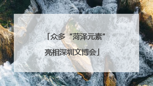 众多“菏泽元素”亮相深圳文博会