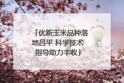 优新玉米品种落地昌平 科学技术指导助力丰收