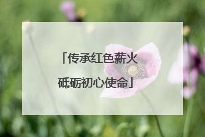 传承红色薪火 砥砺初心使命