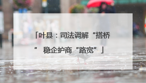 叶县：司法调解“搭桥” 稳企护商“路宽”