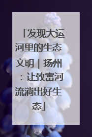 发现大运河里的生态文明｜扬州：让致富河流淌出好生态