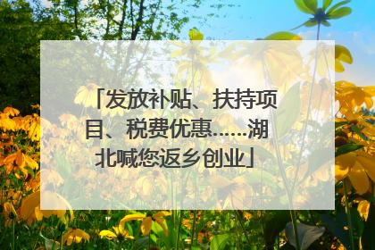 发放补贴、扶持项目、税费优惠……湖北喊您返乡创业