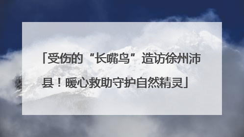 受伤的“长嘴鸟”造访徐州沛县！暖心救助守护自然精灵