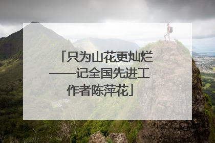 只为山花更灿烂——记全国先进工作者陈萍花