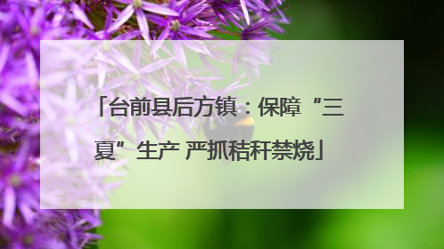 台前县后方镇：保障“三夏”生产 严抓秸秆禁烧