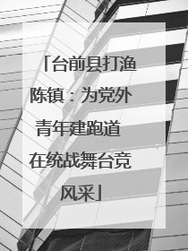 台前县打渔陈镇：为党外青年建跑道 在统战舞台竞风采