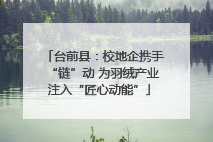 台前县：校地企携手“链”动 为羽绒产业注入“匠心动能”