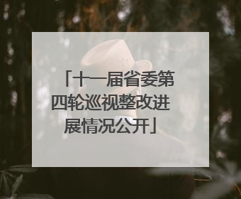 十一届省委第四轮巡视整改进展情况公开