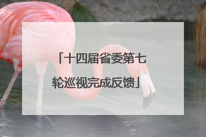 十四届省委第七轮巡视完成反馈