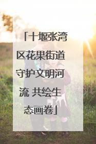 十堰张湾区花果街道守护文明河流 共绘生态画卷