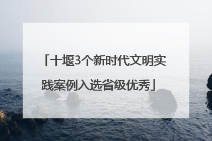 十堰3个新时代文明实践案例入选省级优秀