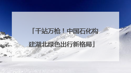 千站万枪！中国石化构建湖北绿色出行新格局
