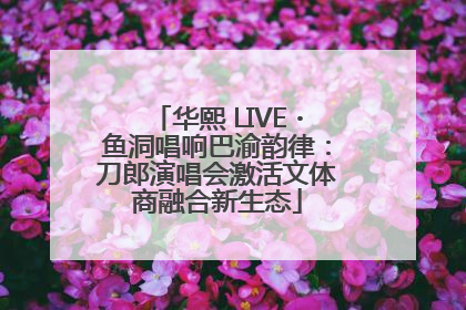 华熙 LIVE・鱼洞唱响巴渝韵律：刀郎演唱会激活文体商融合新生态
