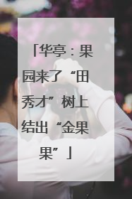 华亭：果园来了“田秀才”树上结出“金果果”