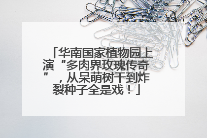 华南国家植物园上演“多肉界玫瑰传奇”，从呆萌树干到炸裂种子全是戏！
