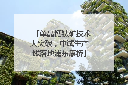 单晶钙钛矿技术大突破，中试生产线落地浦东康桥