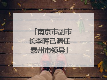 南京市副市长李晖已调任泰州市领导
