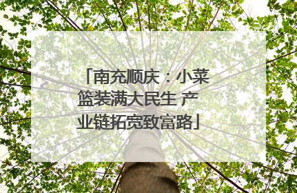 南充顺庆：小菜篮装满大民生 产业链拓宽致富路