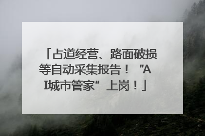占道经营、路面破损等自动采集报告！“AI城市管家”上岗！