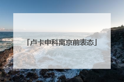 卢卡申科离京前表态