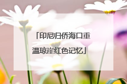 印尼归侨海口重温琼崖红色记忆