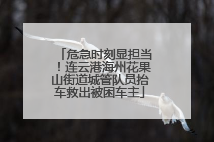 危急时刻显担当！连云港海州花果山街道城管队员抬车救出被困车主