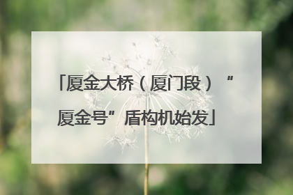厦金大桥（厦门段）“厦金号”盾构机始发