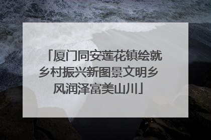 厦门同安莲花镇绘就乡村振兴新图景文明乡风润泽富美山川