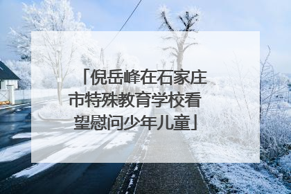 倪岳峰在石家庄市特殊教育学校看望慰问少年儿童