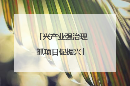 兴产业强治理 抓项目促振兴