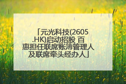 元光科技(2605.HK)启动招股 百惠担任联席账簿管理人及联席牵头经办人