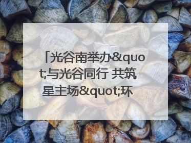 光谷南举办"与光谷同行 共筑星主场"环湖徒步活动 吸引500余名市民参与