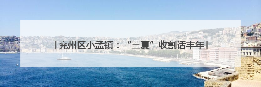 兖州区小孟镇：“三夏”收割话丰年