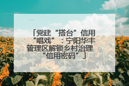 党建“搭台”信用“唱戏”：宁阳华丰管理区解锁乡村治理“信用密码”