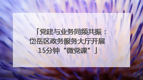 党建与业务同频共振：岱岳区政务服务大厅开展15分钟“微党课”