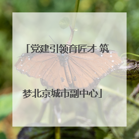 党建引领育匠才 筑梦北京城市副中心
