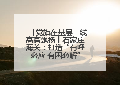 党旗在基层一线高高飘扬丨石家庄海关：打造“有呼必应 有困必解”关企互动新生态